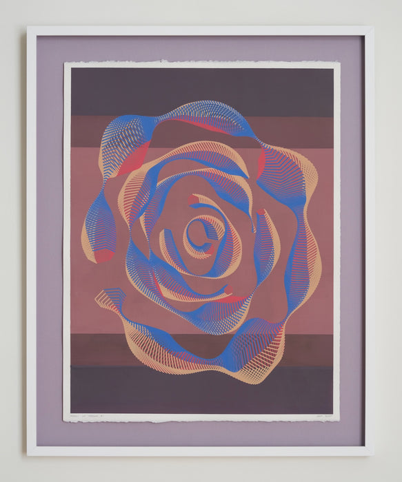 Degrees of Freedom #1 (framed)