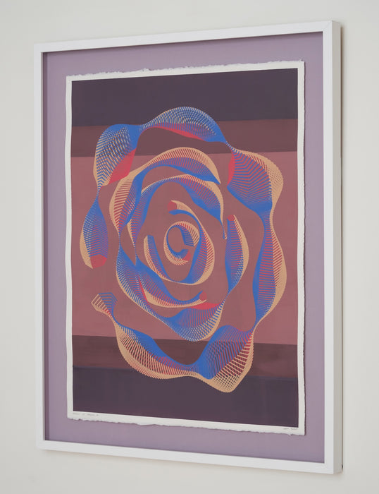 Degrees of Freedom #1 (framed)