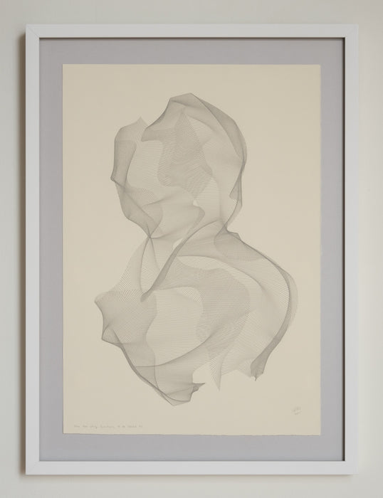 These Are Early Intuitions, To Be Tested #2 (framed)