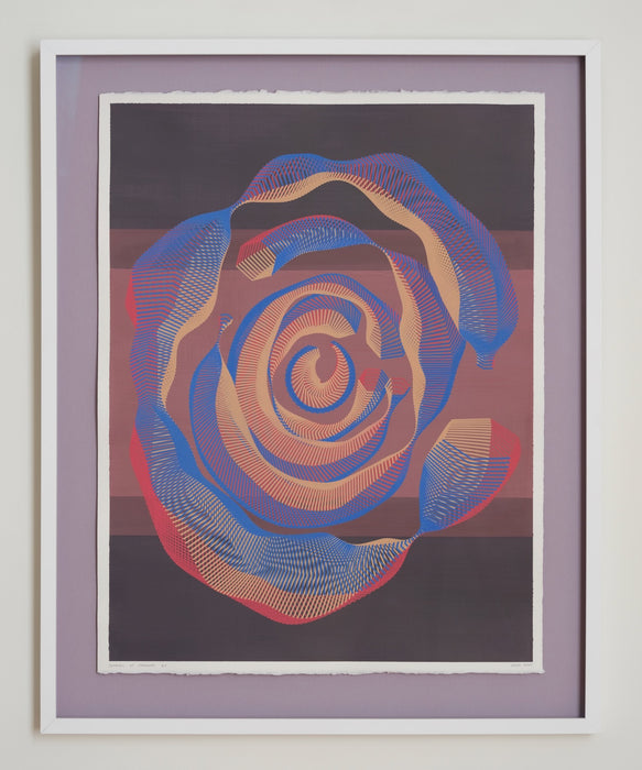 Degrees of Freedom #3 (framed)