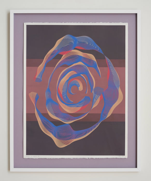 Degrees of Freedom #4 (framed)