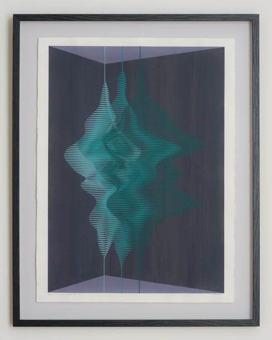 Zone of Reasonable Disagreements #4 (framed)