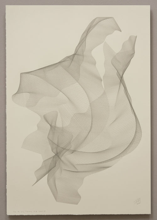 These Are Early Intuitions, To Be Tested #9 (unframed)