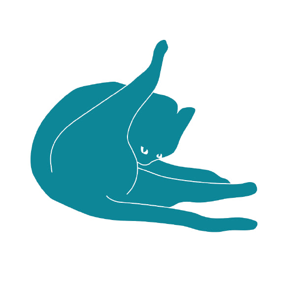 Teal Cat