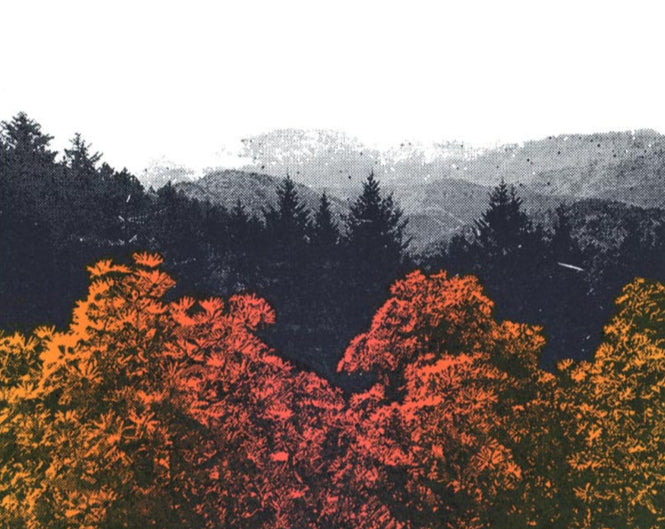 Blue Ridge Mountain Trees