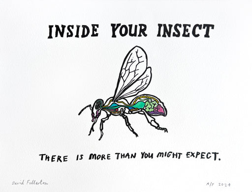 Inside your Insect by David Fullarton