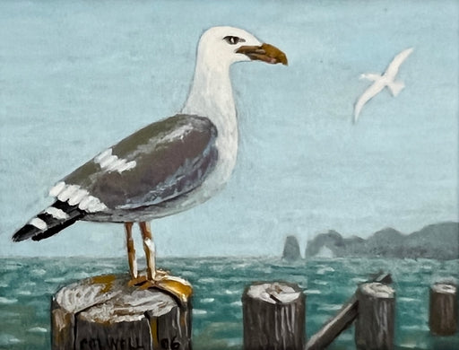 Seagull