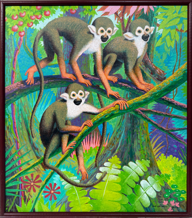 Squirrel Monkeys