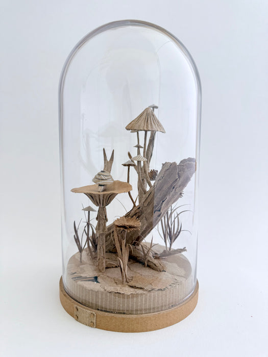 Mushrooms