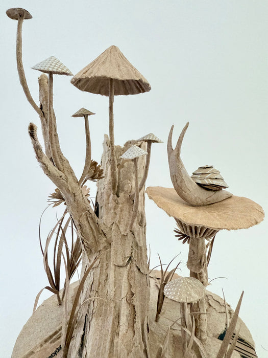 Mushrooms