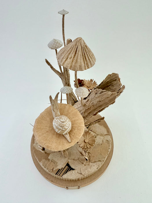 Mushrooms