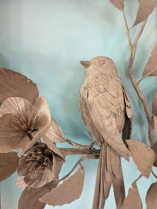 Bird: Long Tail