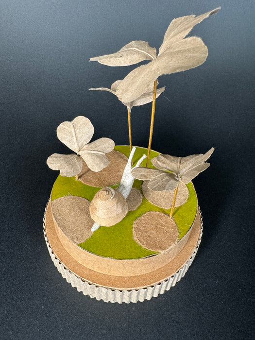 Snail (Clover field)