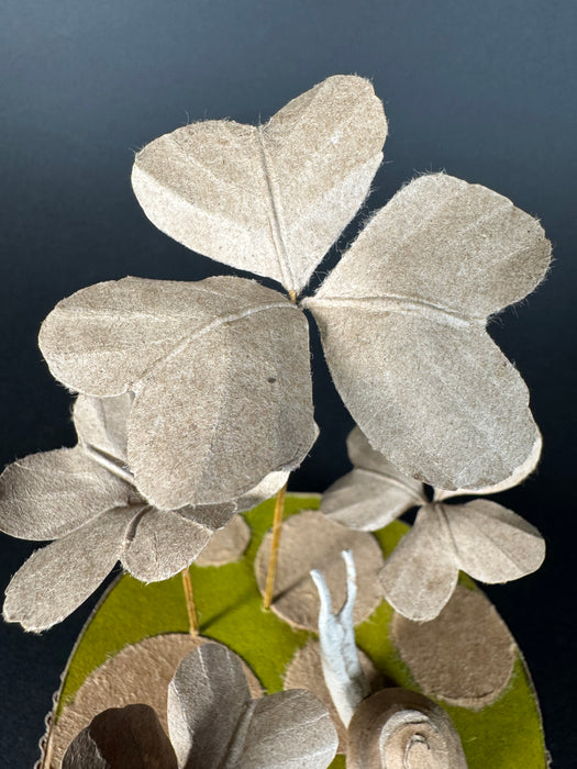 Snail (Clover field)