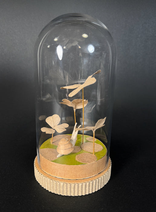 Snail (Clover field)