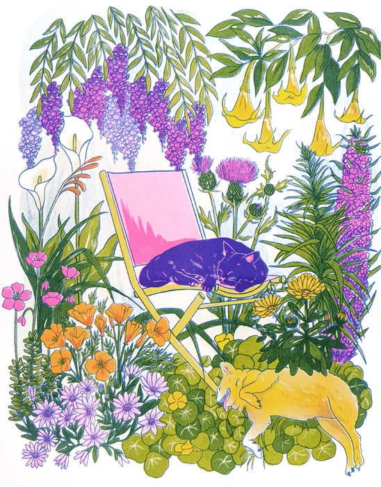 California Wildflowers + Friends