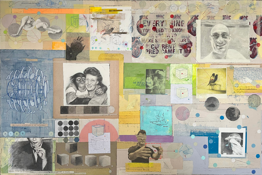 Our Current Predicament