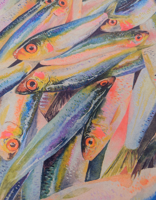 Watercolor Fish Pile