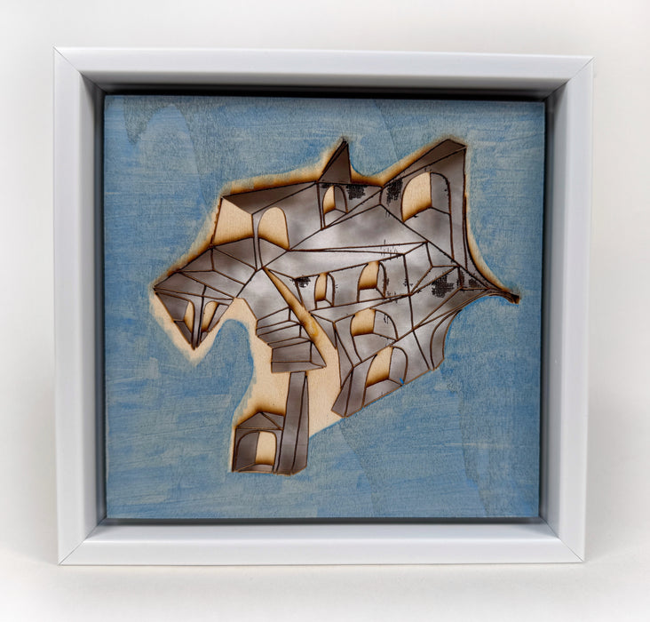 Shadows Through Fire