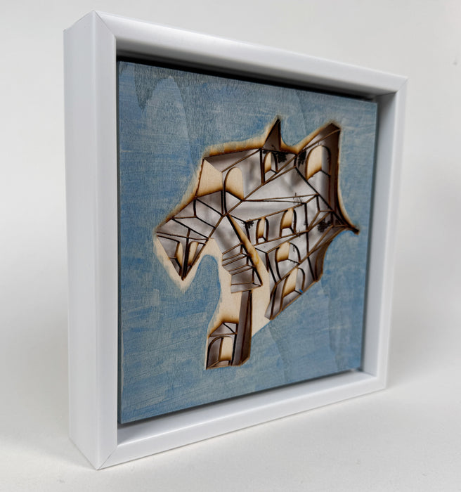 Shadows Through Fire