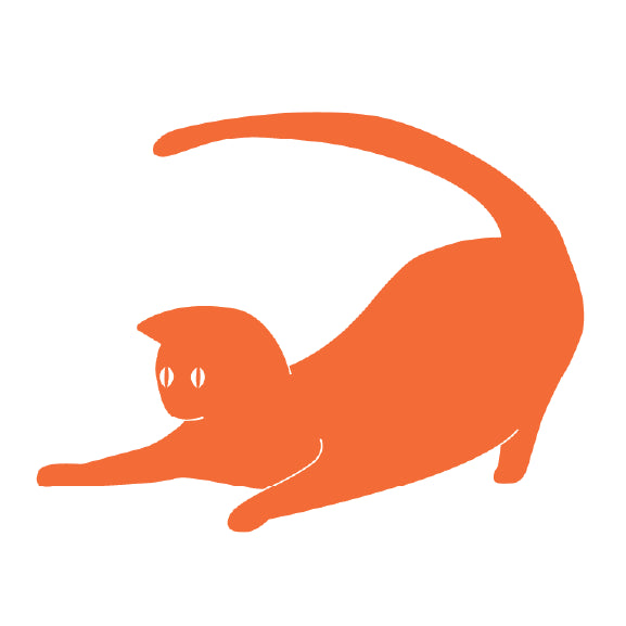Orange Cat