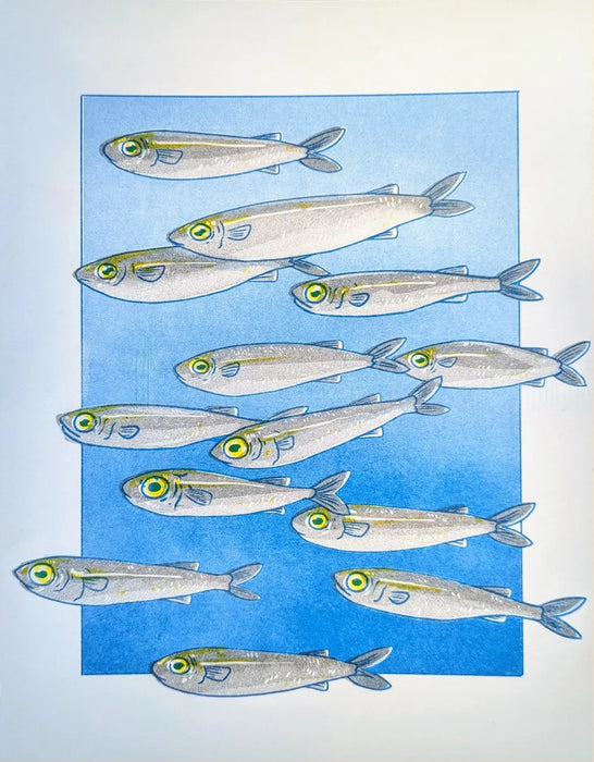 School of Fish