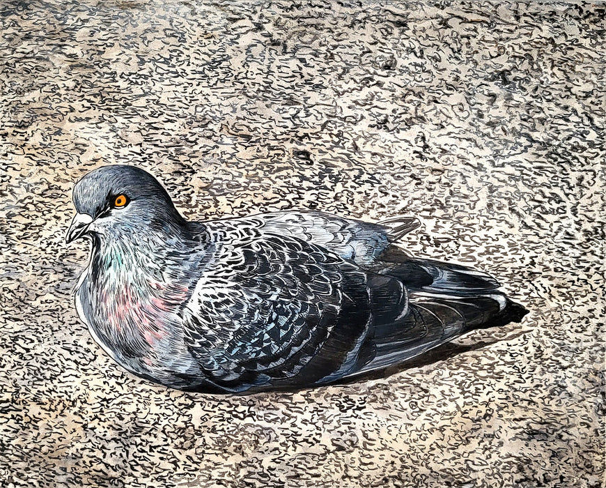 Lucky's Pigeon #1