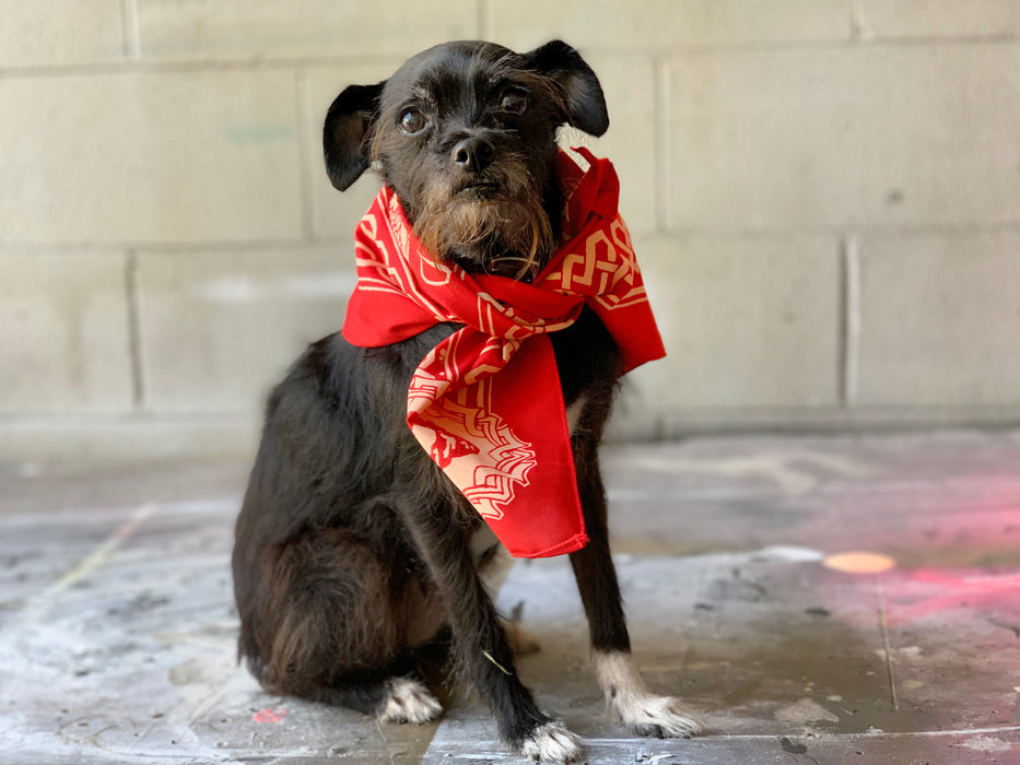 The Bandana of Dissent