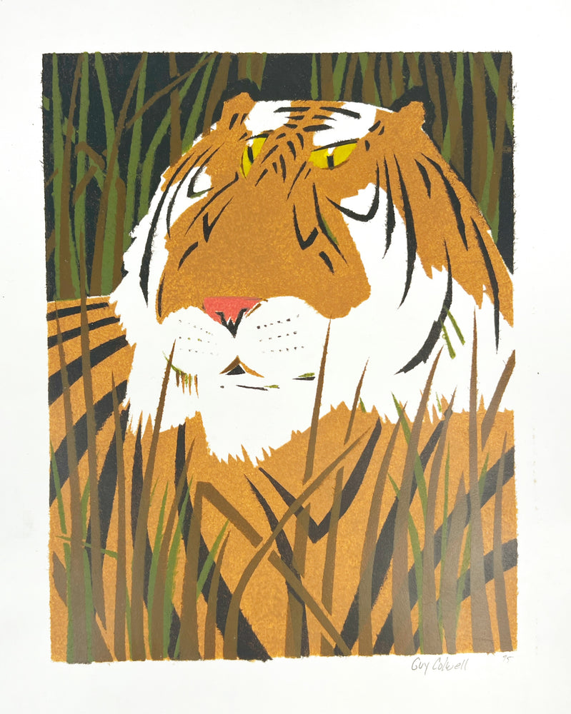 Tiger in Grass