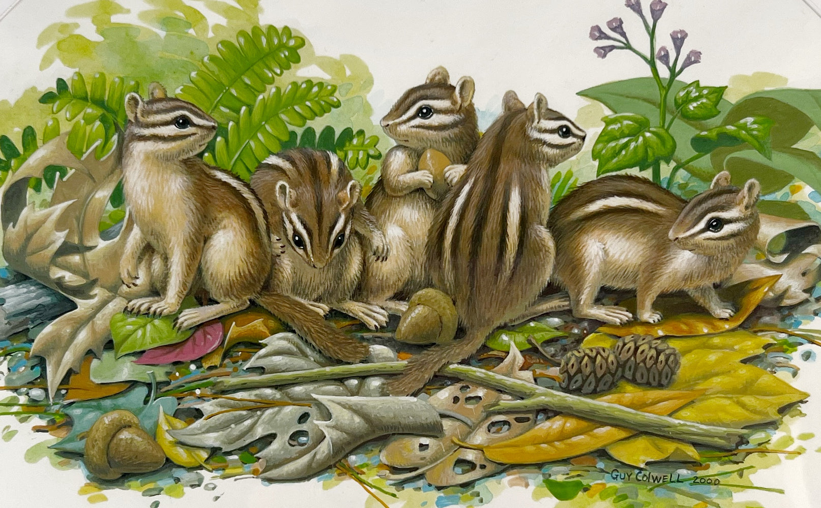 Chipmunks